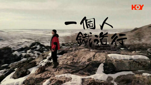 YiGeRTDX.1