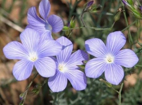 20260522_204236.jpg
